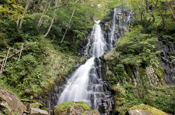 ⦑�E�J��k�J 